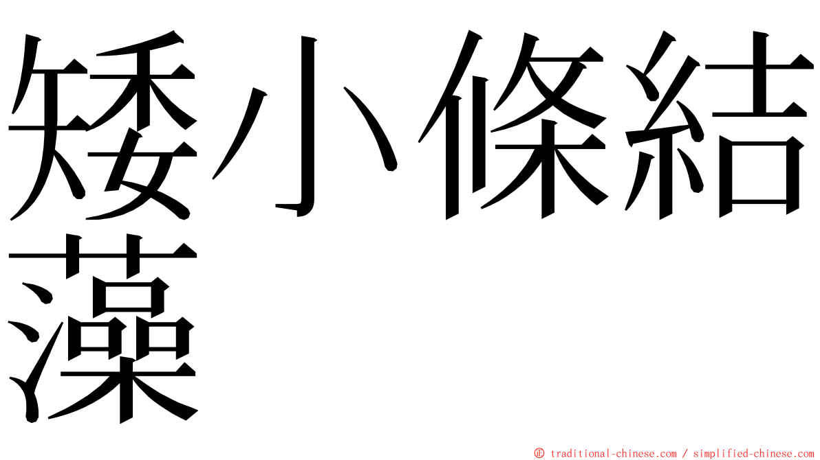 矮小條結藻 ming font