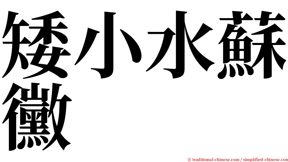 矮小水蘇黴 serif font