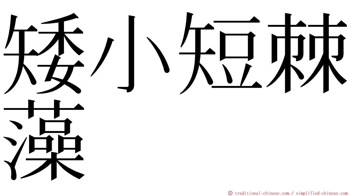 矮小短棘藻 ming font