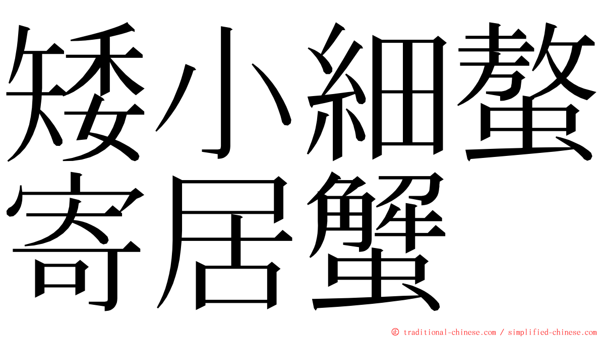 矮小細螯寄居蟹 ming font