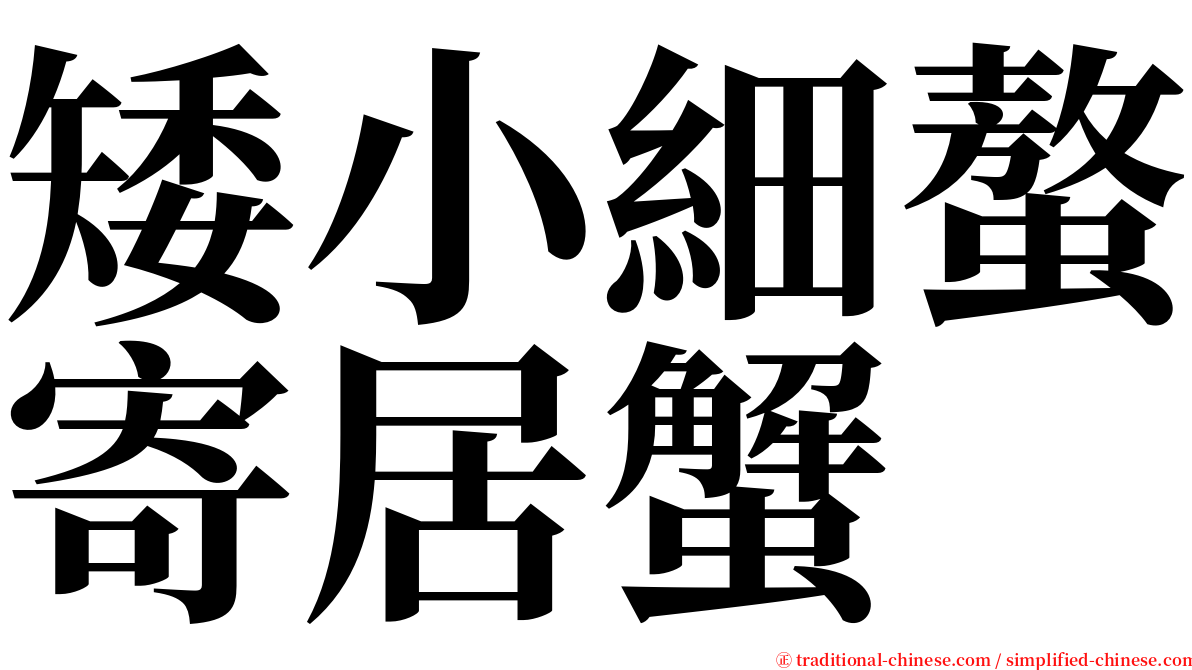 矮小細螯寄居蟹 serif font