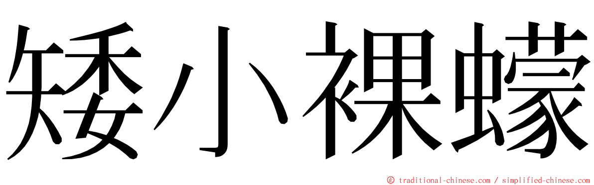 矮小裸蠓 ming font