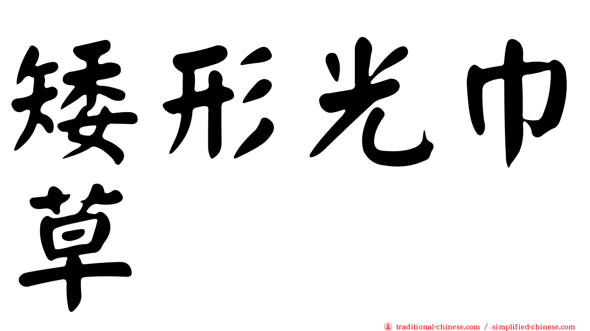 矮形光巾草