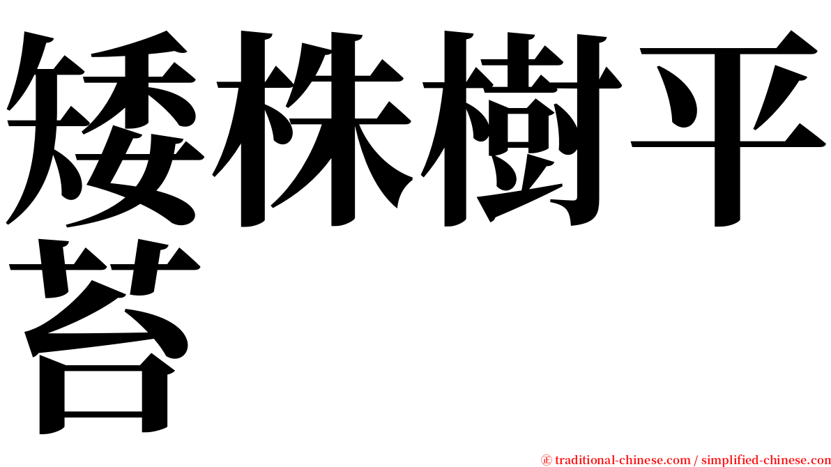 矮株樹平苔 serif font