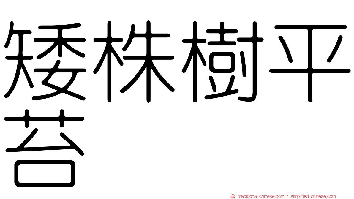 矮株樹平苔