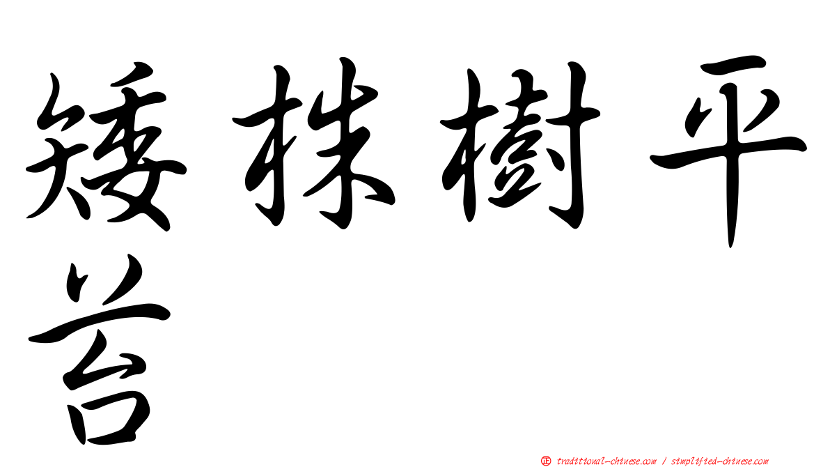 矮株樹平苔