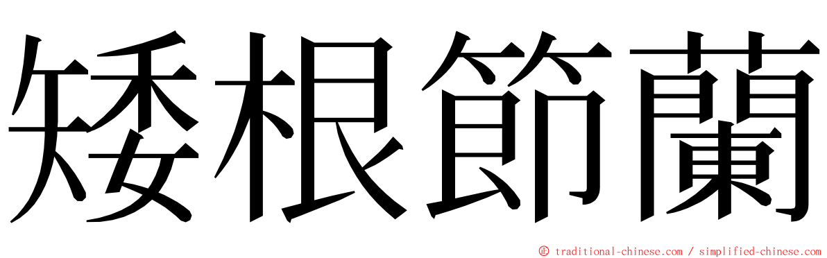 矮根節蘭 ming font