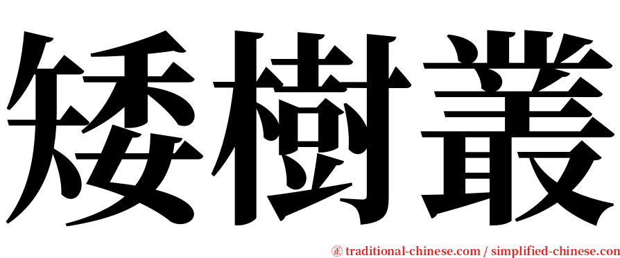 矮樹叢 serif font