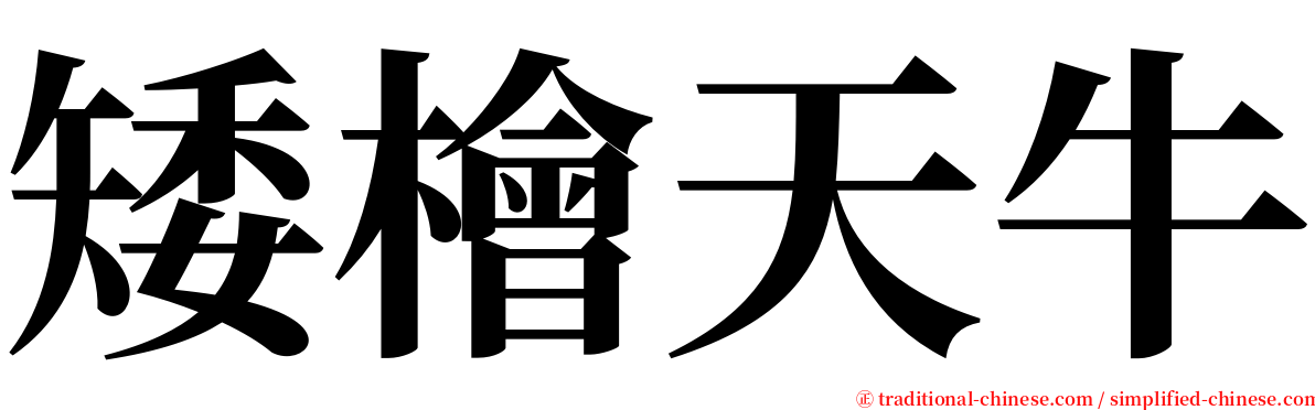 矮檜天牛 serif font