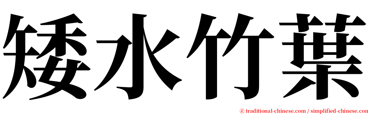 矮水竹葉 serif font