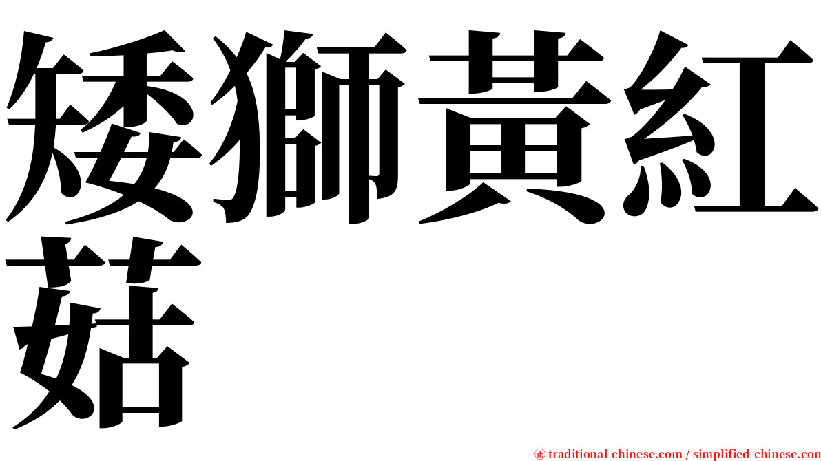 矮獅黃紅菇 serif font