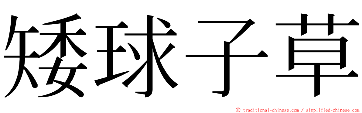 矮球子草 ming font