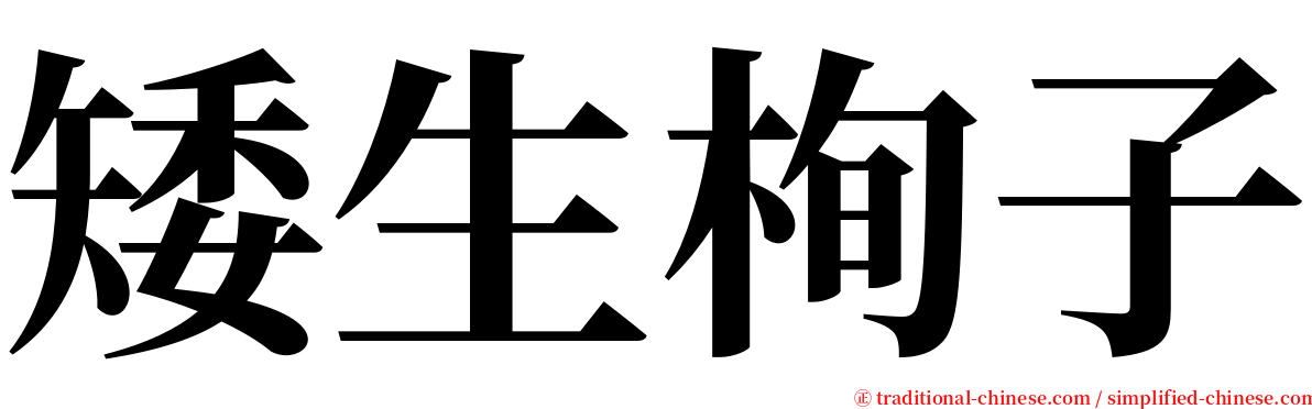 矮生栒子 serif font