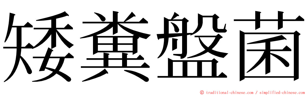 矮糞盤菌 ming font