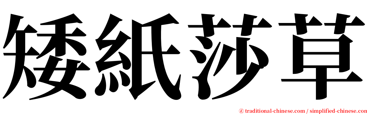 矮紙莎草 serif font