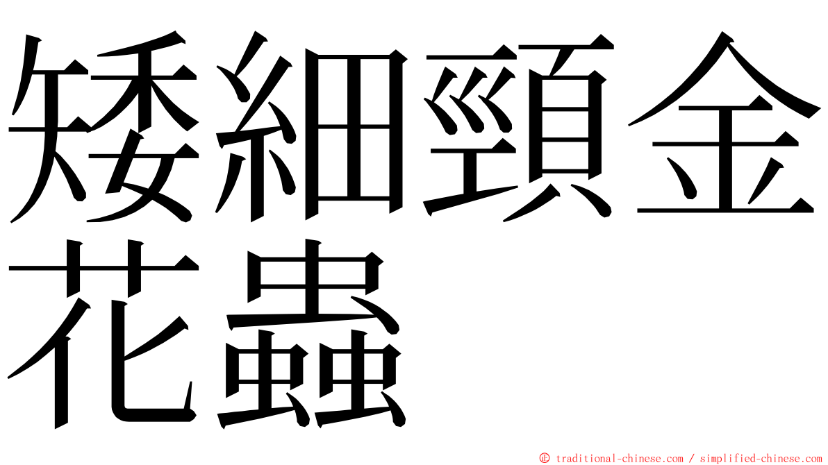 矮細頸金花蟲 ming font