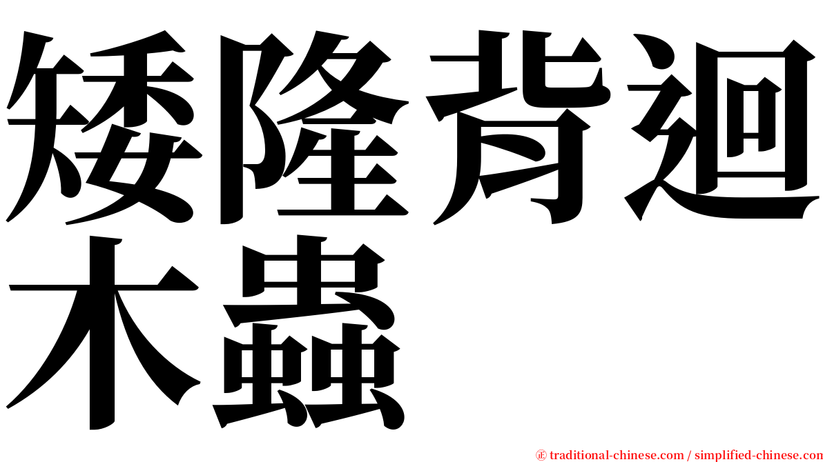 矮隆背迴木蟲 serif font