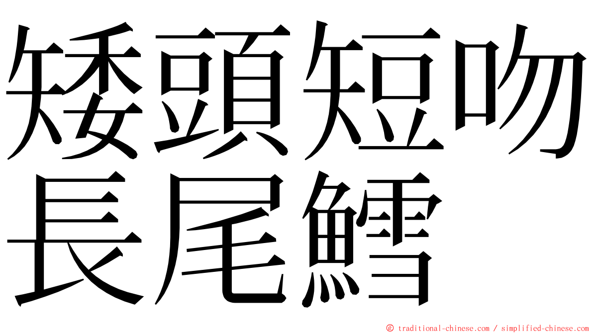 矮頭短吻長尾鱈 ming font