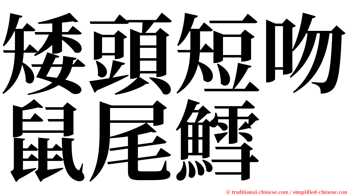 矮頭短吻鼠尾鱈 serif font