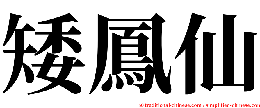 矮鳳仙 serif font