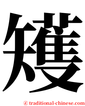 矱 serif font