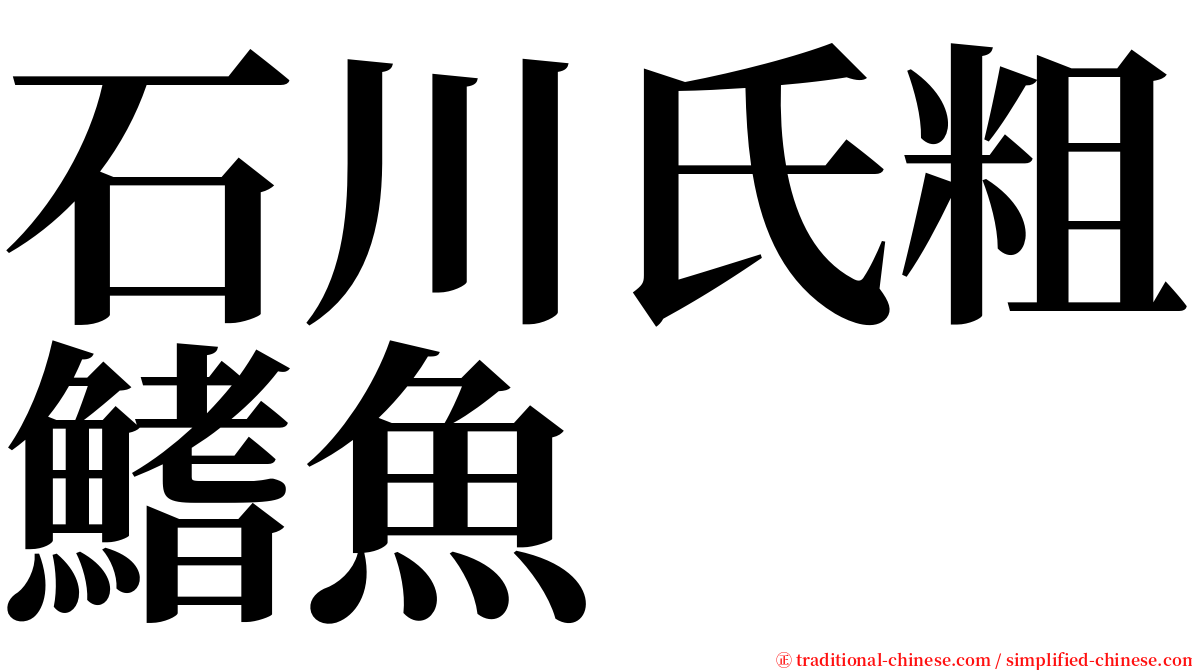 石川氏粗鰭魚 serif font