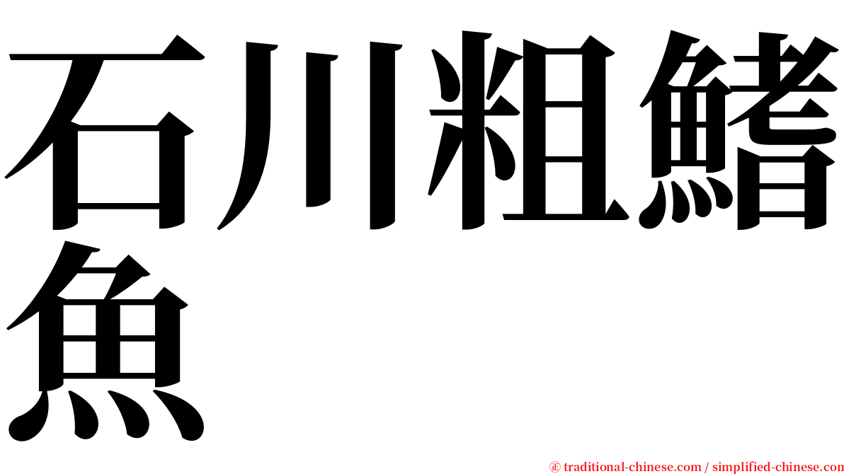 石川粗鰭魚 serif font