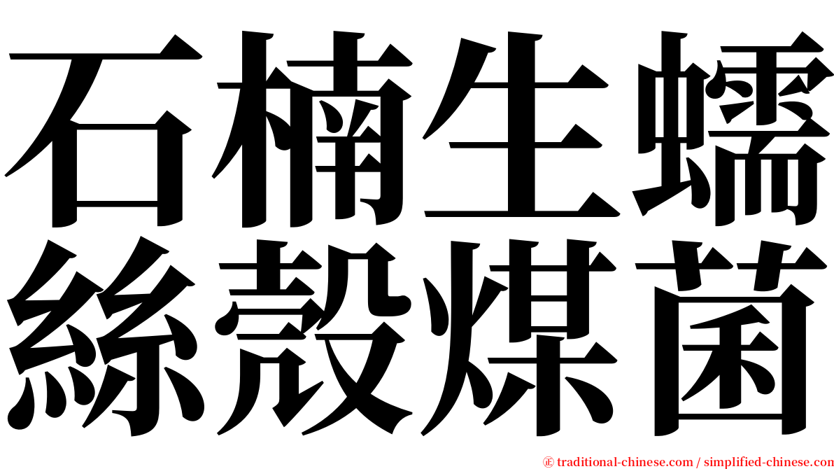 石楠生蠕絲殼煤菌 serif font