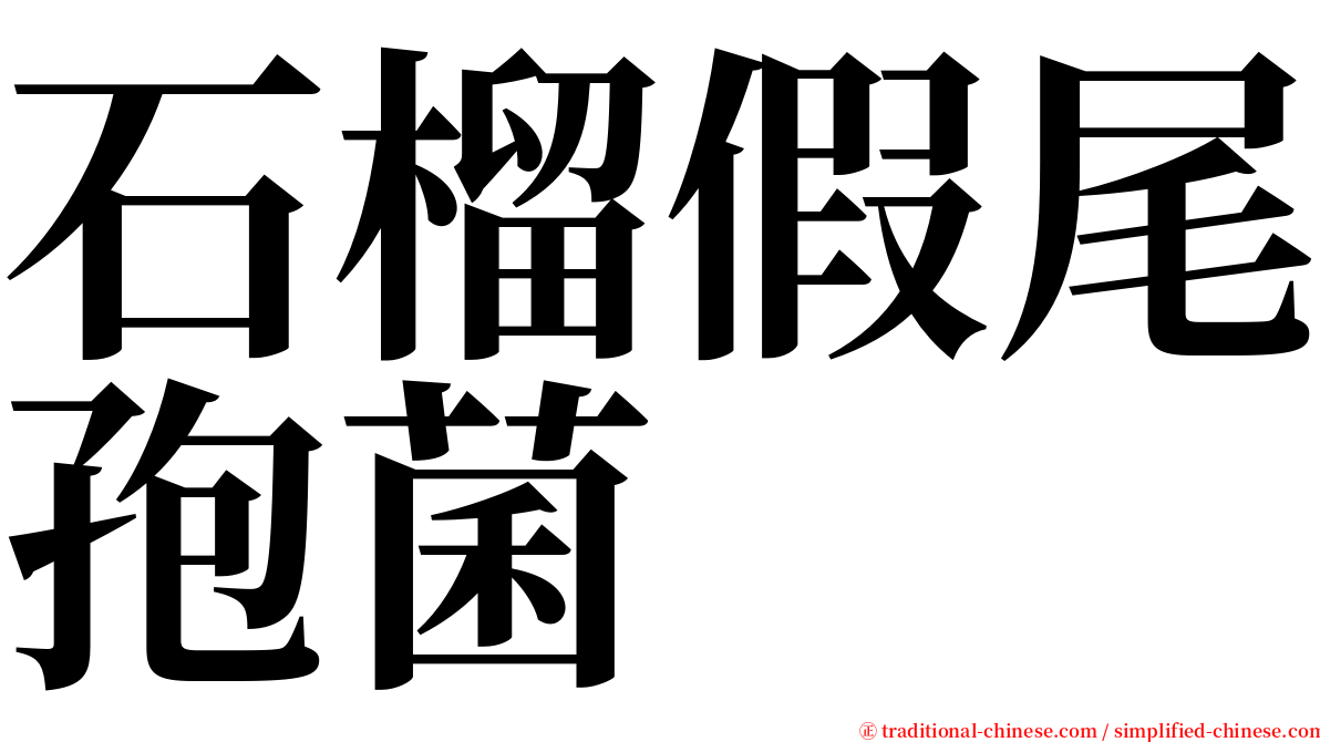 石榴假尾孢菌 serif font