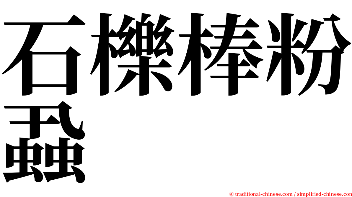 石櫟棒粉蝨 serif font