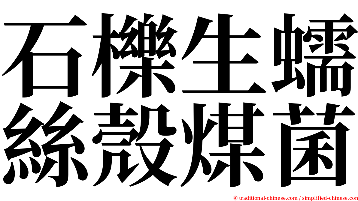 石櫟生蠕絲殼煤菌 serif font