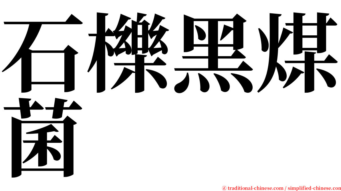 石櫟黑煤菌 serif font