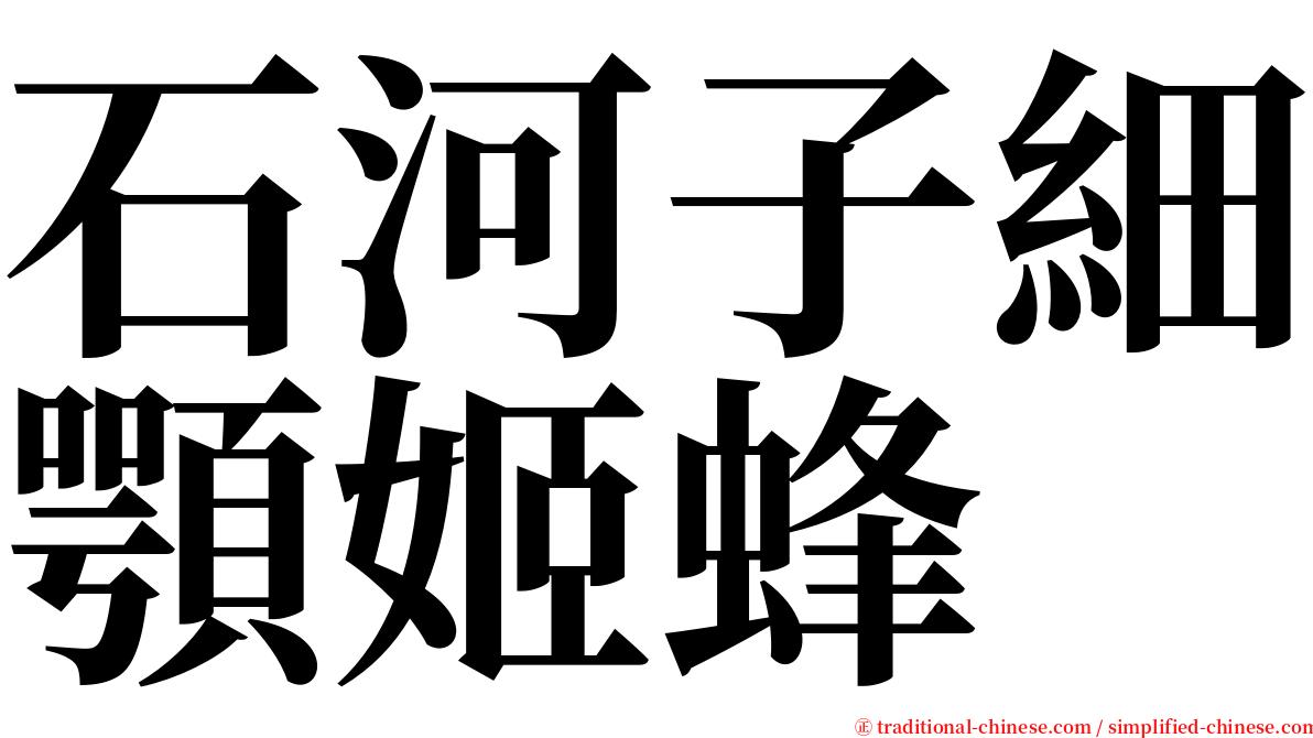 石河子細顎姬蜂 serif font