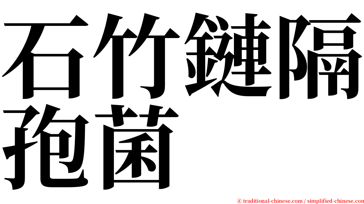 石竹鏈隔孢菌 serif font