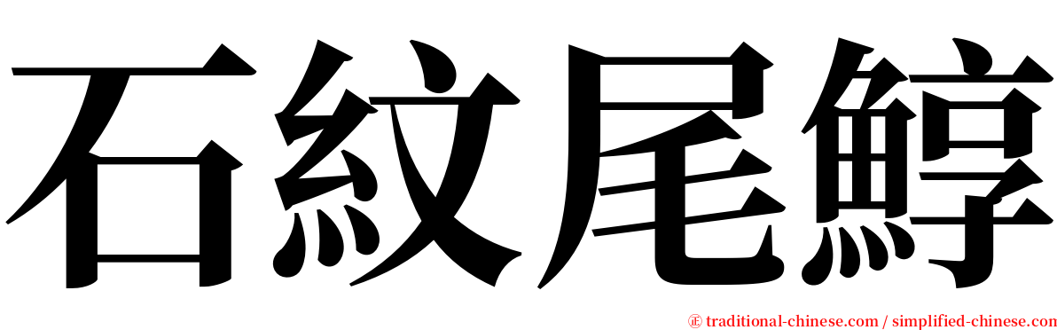 石紋尾鯙 serif font