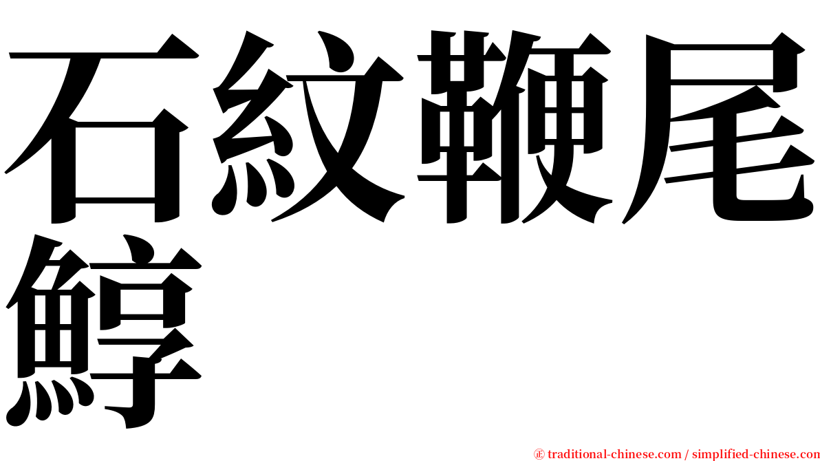 石紋鞭尾鯙 serif font