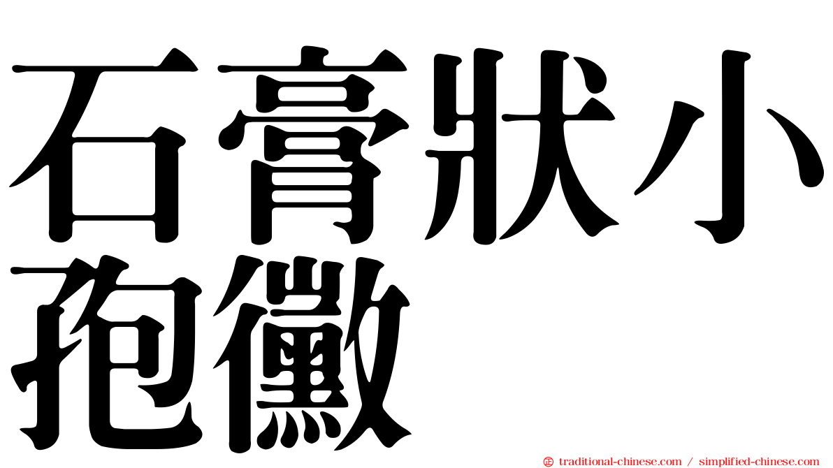 石膏狀小孢黴