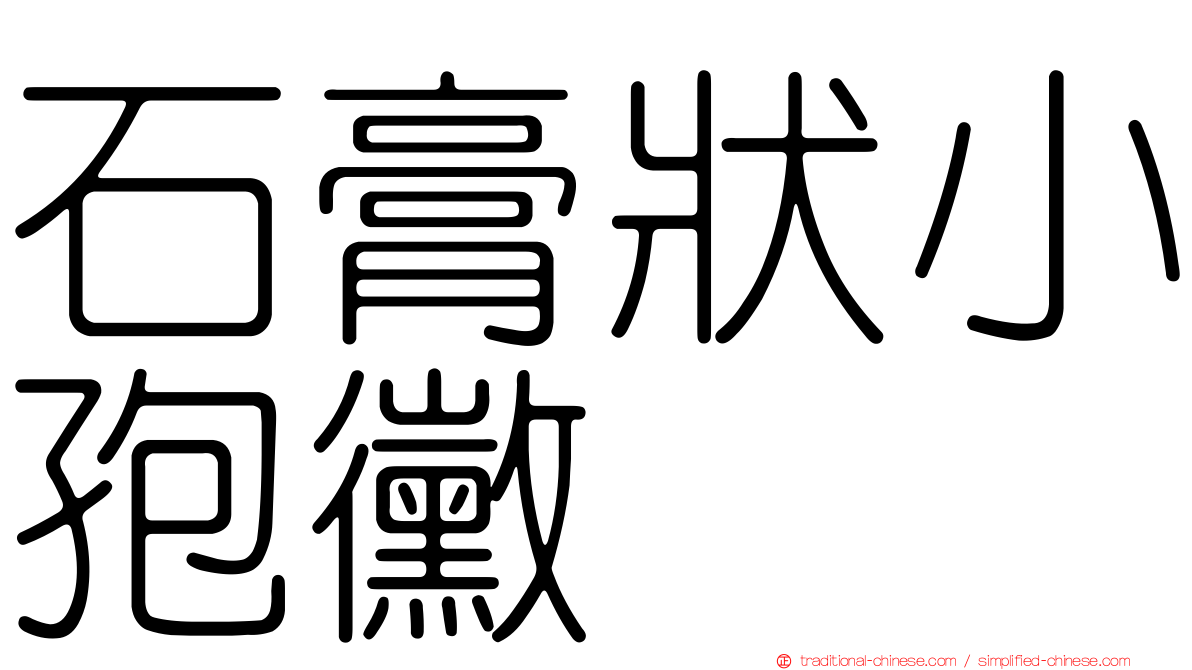 石膏狀小孢黴