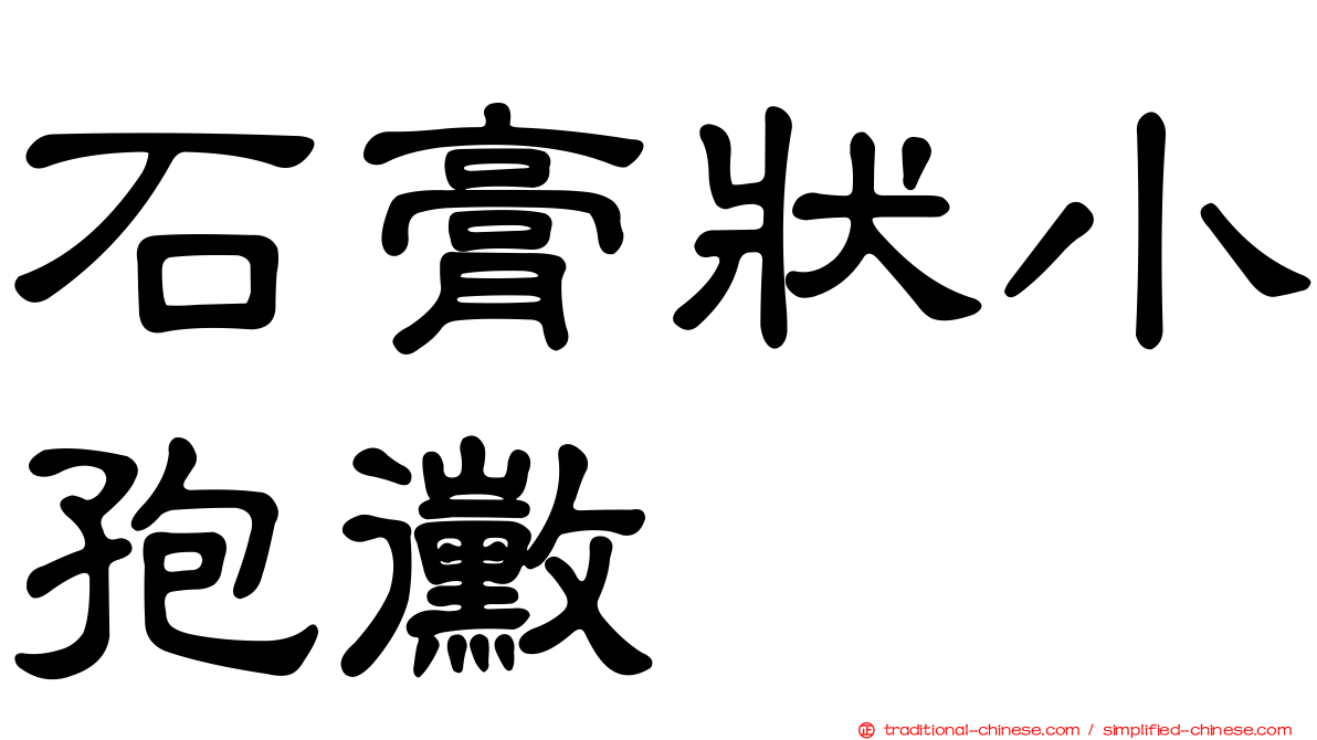 石膏狀小孢黴