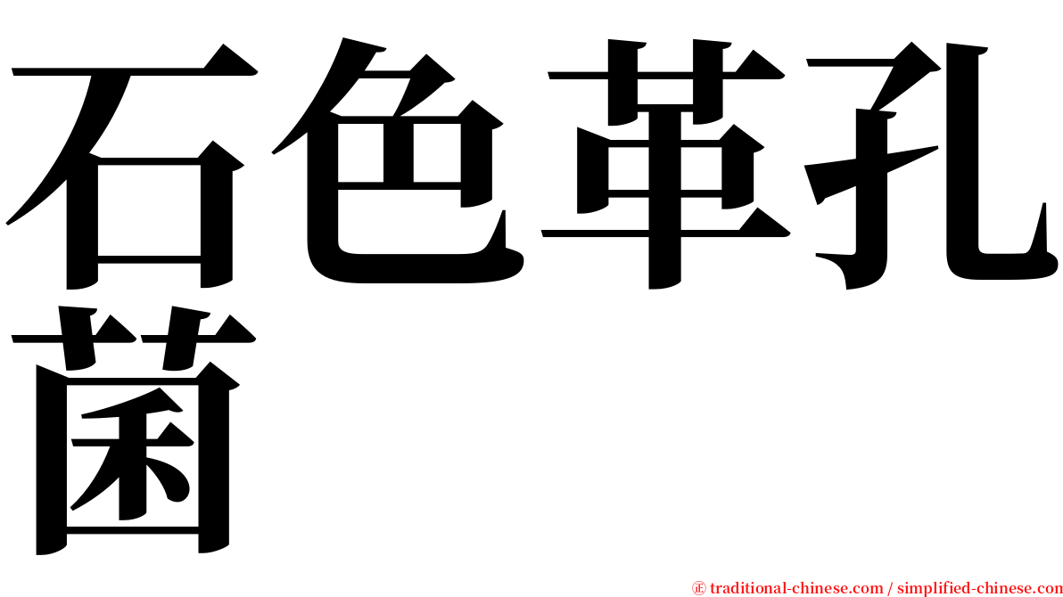 石色革孔菌 serif font