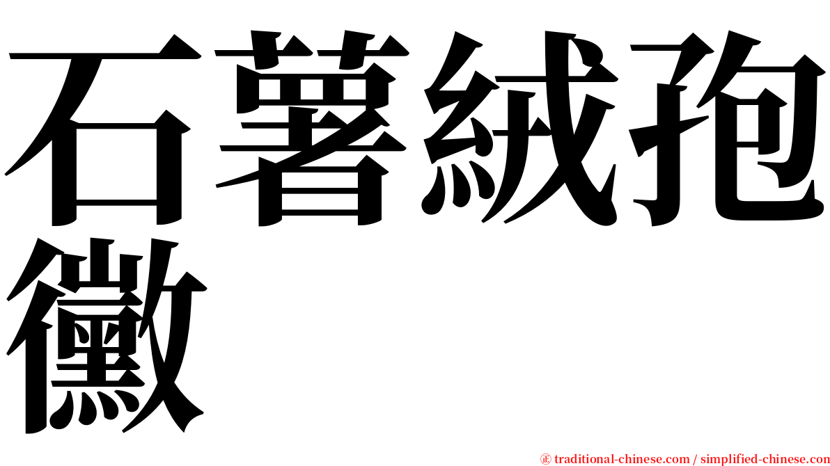 石薯絨孢黴 serif font