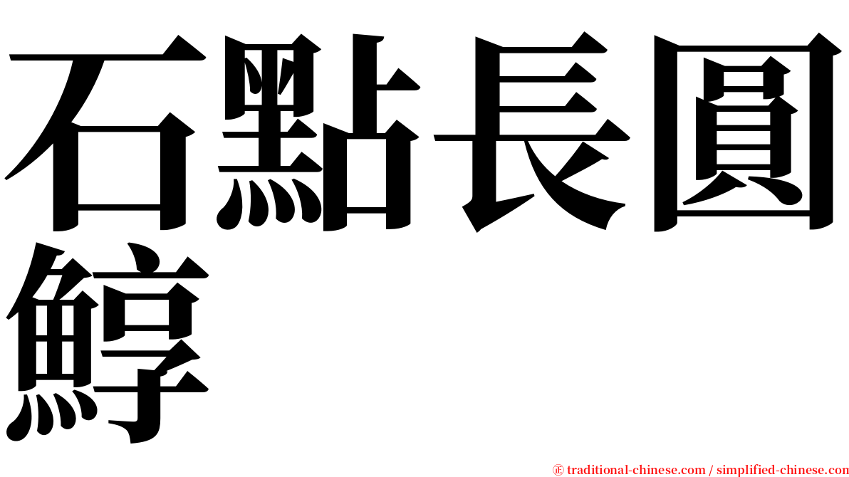 石點長圓鯙 serif font