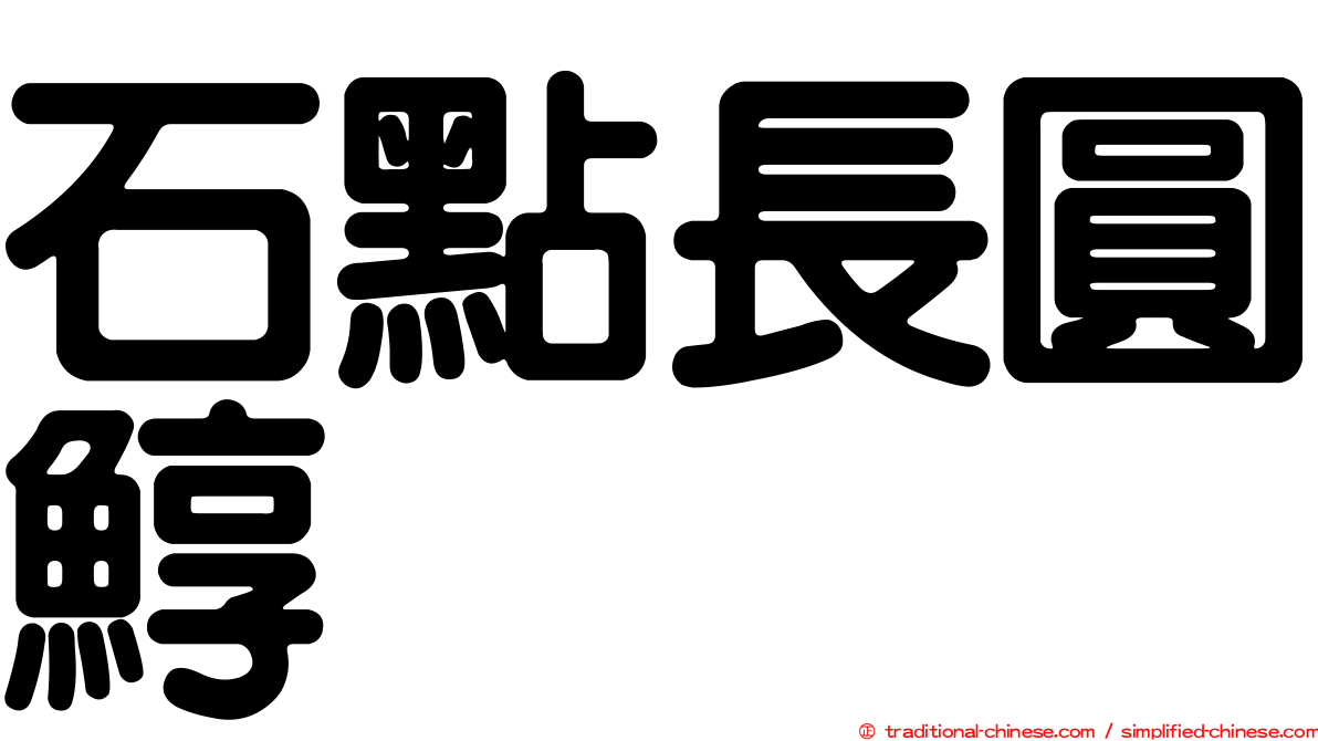 石點長圓鯙
