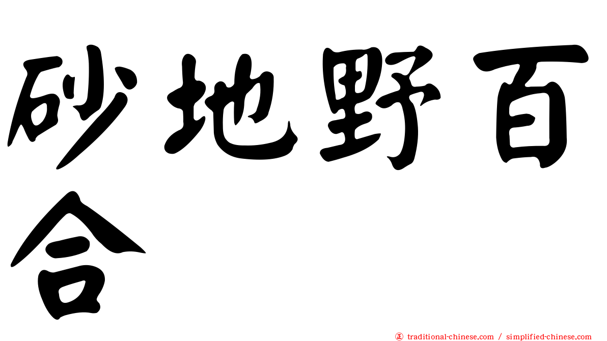 砂地野百合