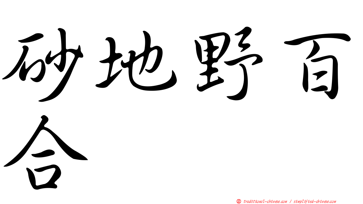 砂地野百合