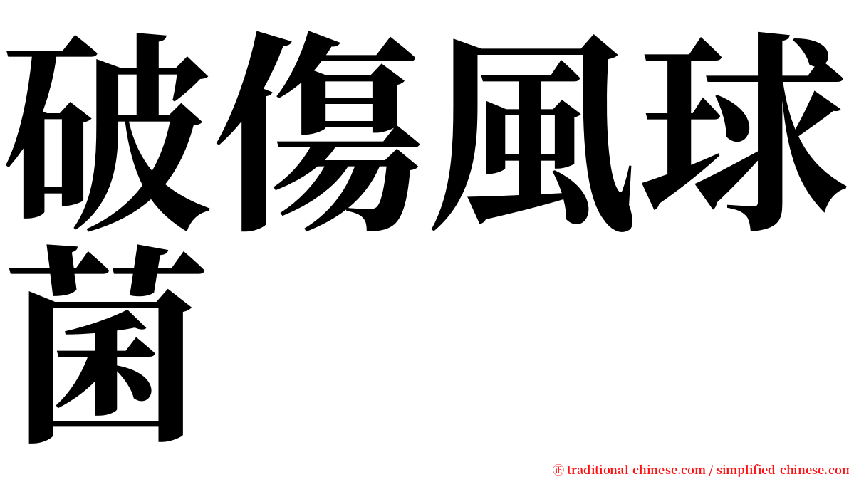 破傷風球菌 serif font