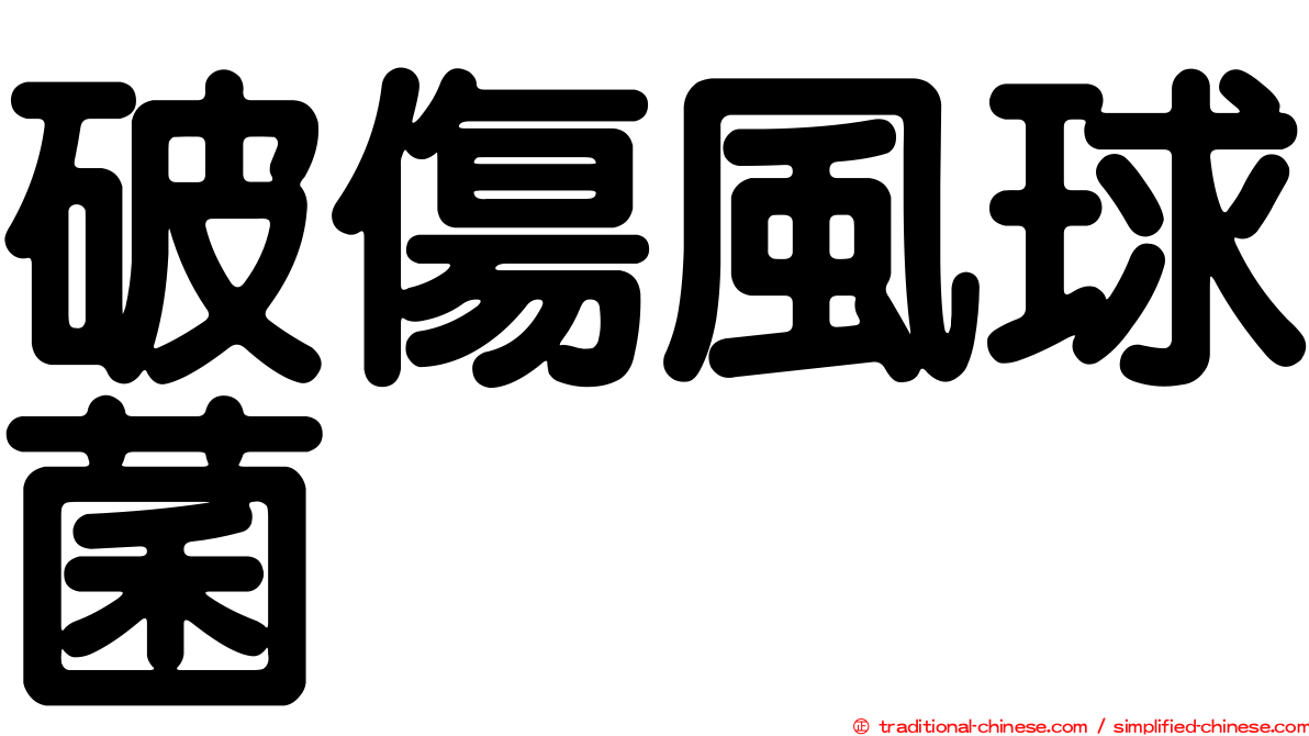破傷風球菌