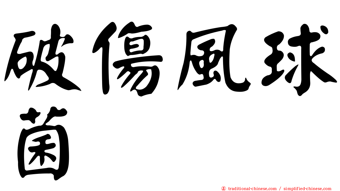 破傷風球菌