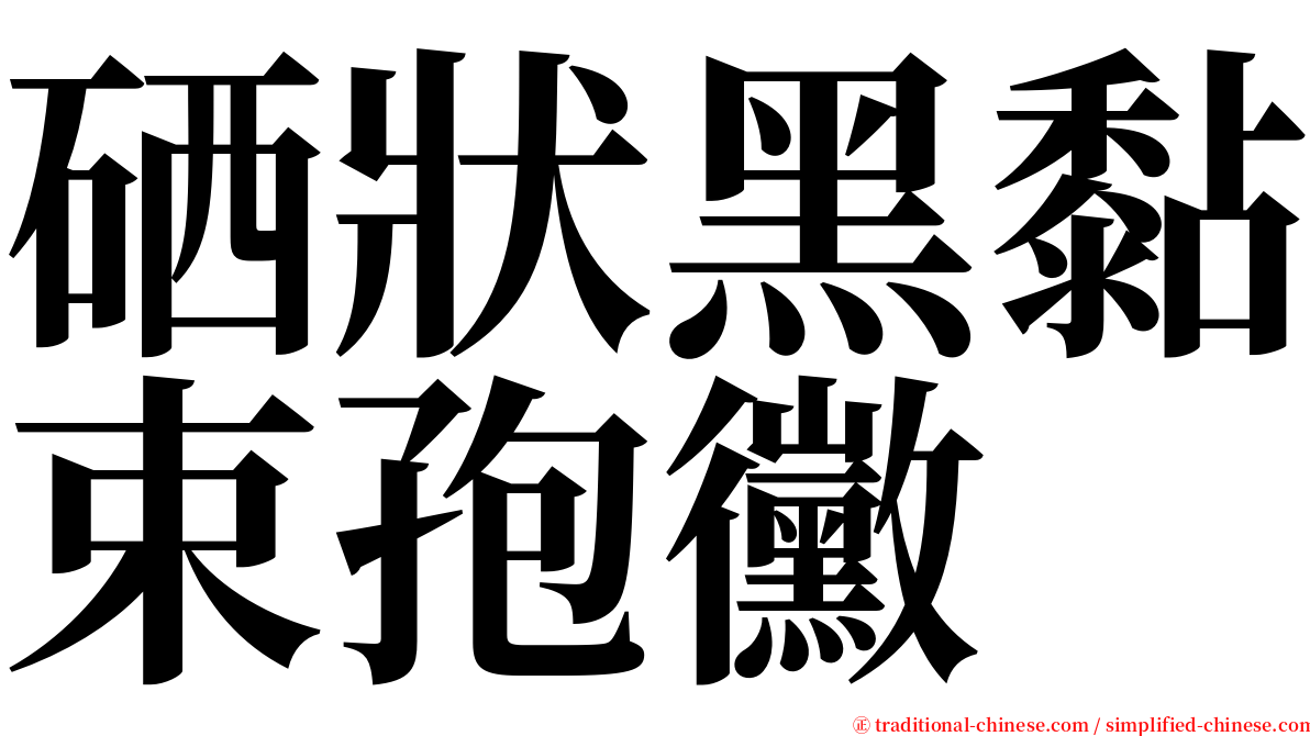 硒狀黑黏束孢黴 serif font