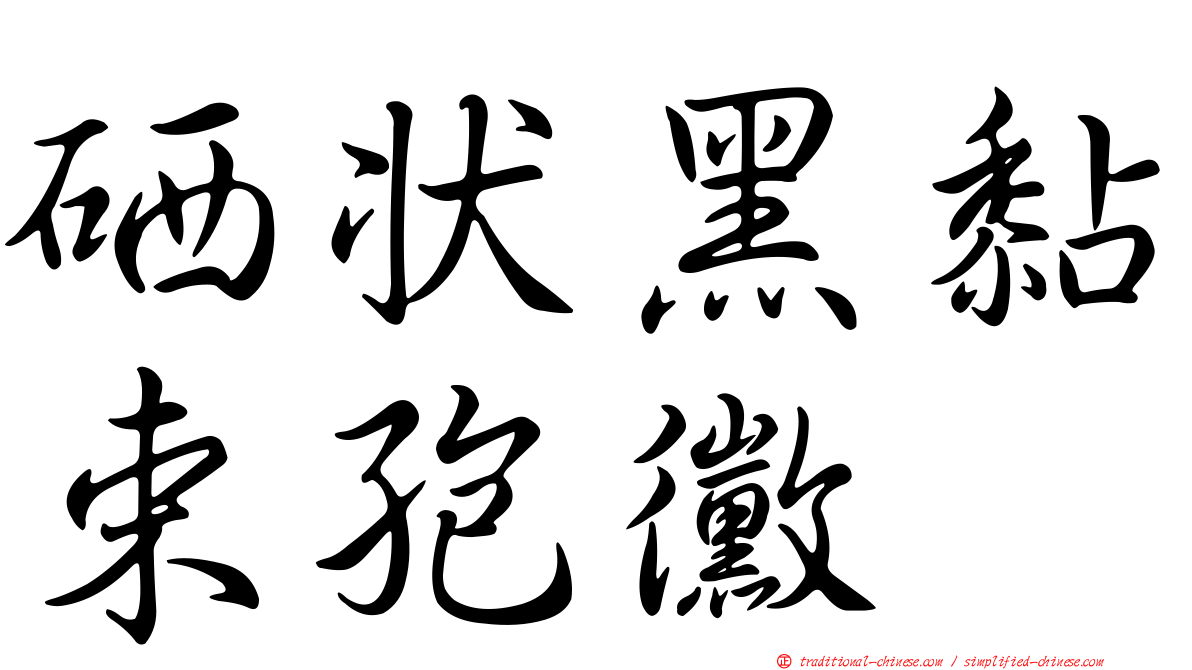 硒狀黑黏束孢黴